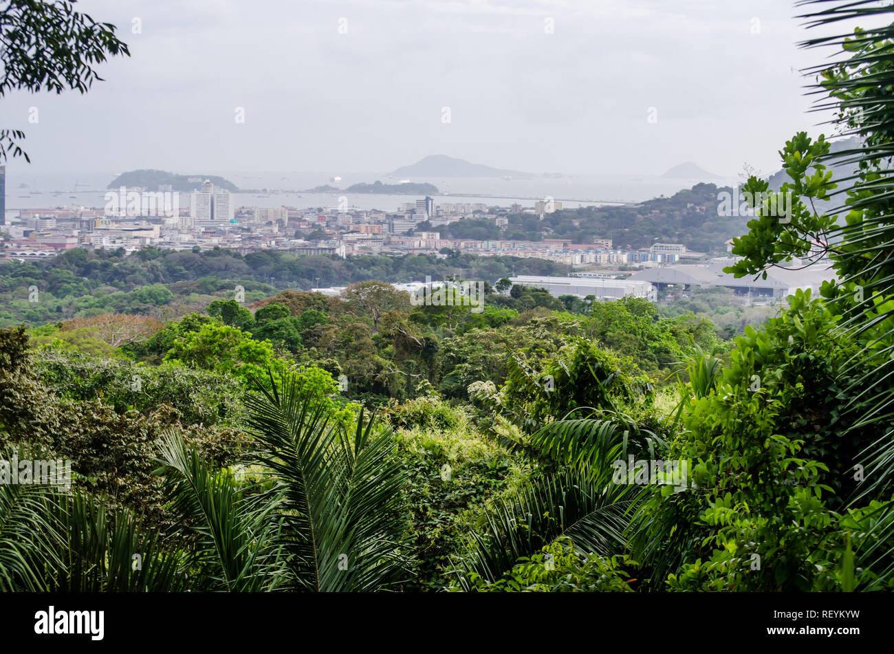 Panama skyline della città come si vede dal Metropolita Parco Nazionale Foto Stock
