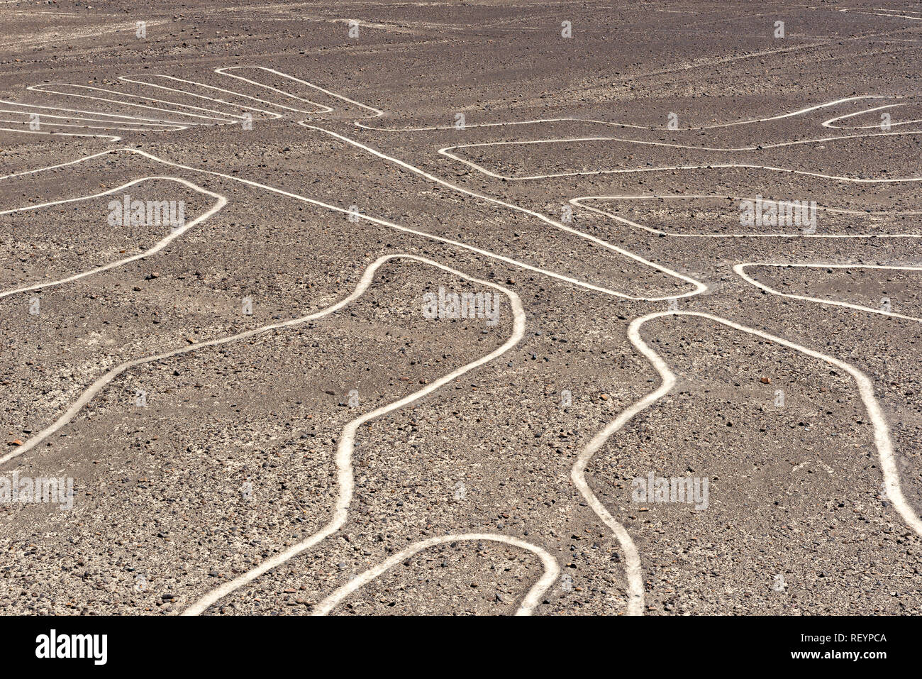 La struttura ad albero linea Nazca vista dal ponte di osservazione, Perù Foto Stock