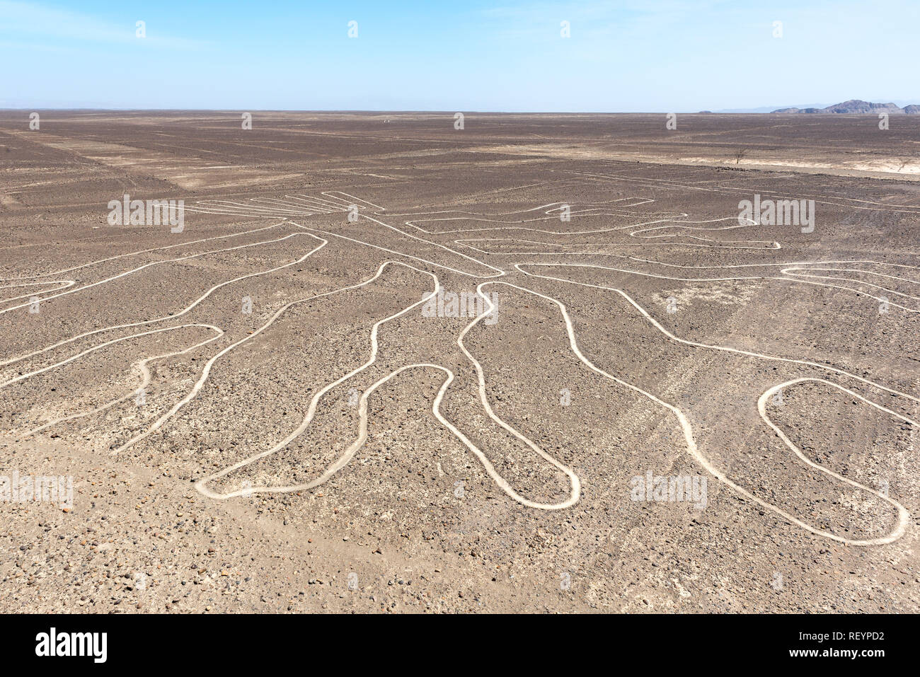 La struttura ad albero linea Nazca vista dal ponte di osservazione, Perù Foto Stock