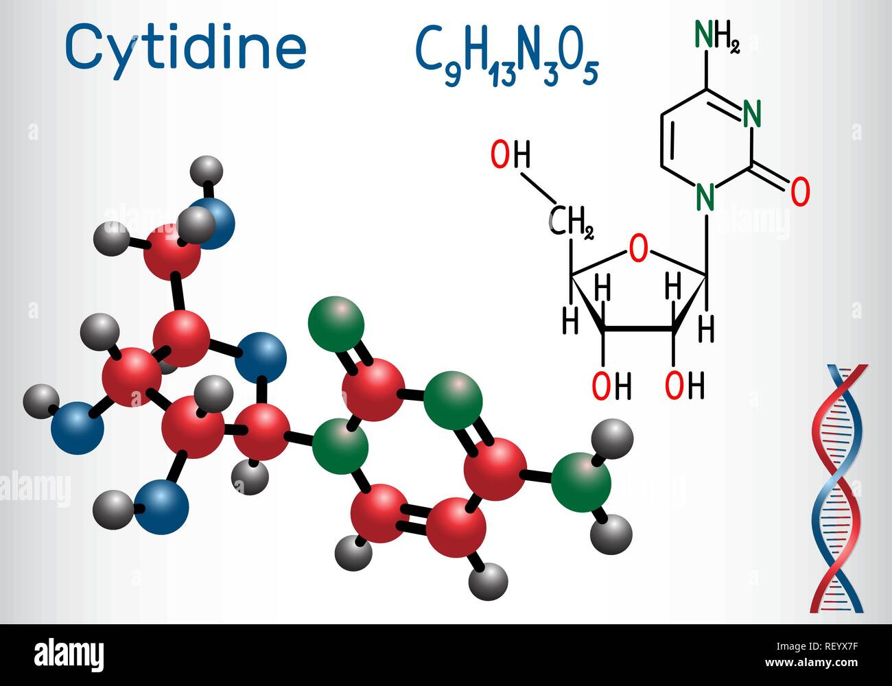 Citidina - pirimidina nucleoside molecola, è parte importante del RNA. Formula chimica di struttura e la molecola modello. Illustrazione Vettoriale Illustrazione Vettoriale