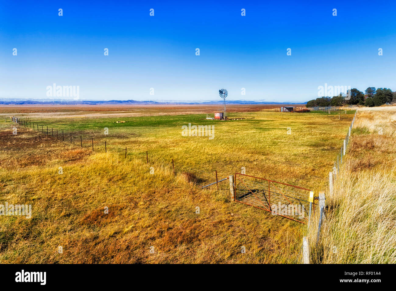 Vuoto di bovini paddock intorno al lago George pianure e pascoli con storico Mulino a vento autonoma irrigazione recintata con un cancello in un angolo del Foto Stock