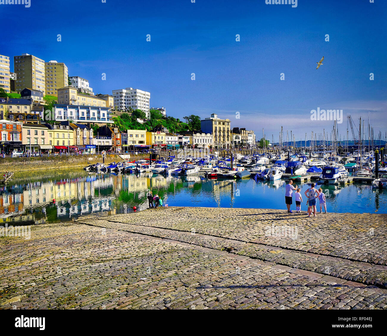 GB - DEVON: Torquay Harbour Foto Stock