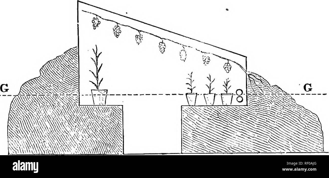 . Il mio giardino, il suo piano e cultura insieme con una descrizione generale della sua geologia, della botanica e della storia naturale. Il giardinaggio. Cornici e vetro-CASE. f9 due piedi più ; da quale dispositivo la casa sarebbe ben incassati nel terreno. Un unico tetto di vetro è fissata sopra la parte irrecuperabili e la ventilazione è fornita da un pannello appeso su una cerniera sul retro.. Fig. 82. - Poveri ma-.io Hoase. La mia povera casa dell'uomo è di quaranta-otto piedi di lunghezza e la larghezza del tetto in vetro è di dieci piedi, la porta essendo in corrispondenza di una sola estremità (fig. "83). Forse in futuro le strutture, in cui vi è abbondanza di terra per la schiena, woul Foto Stock