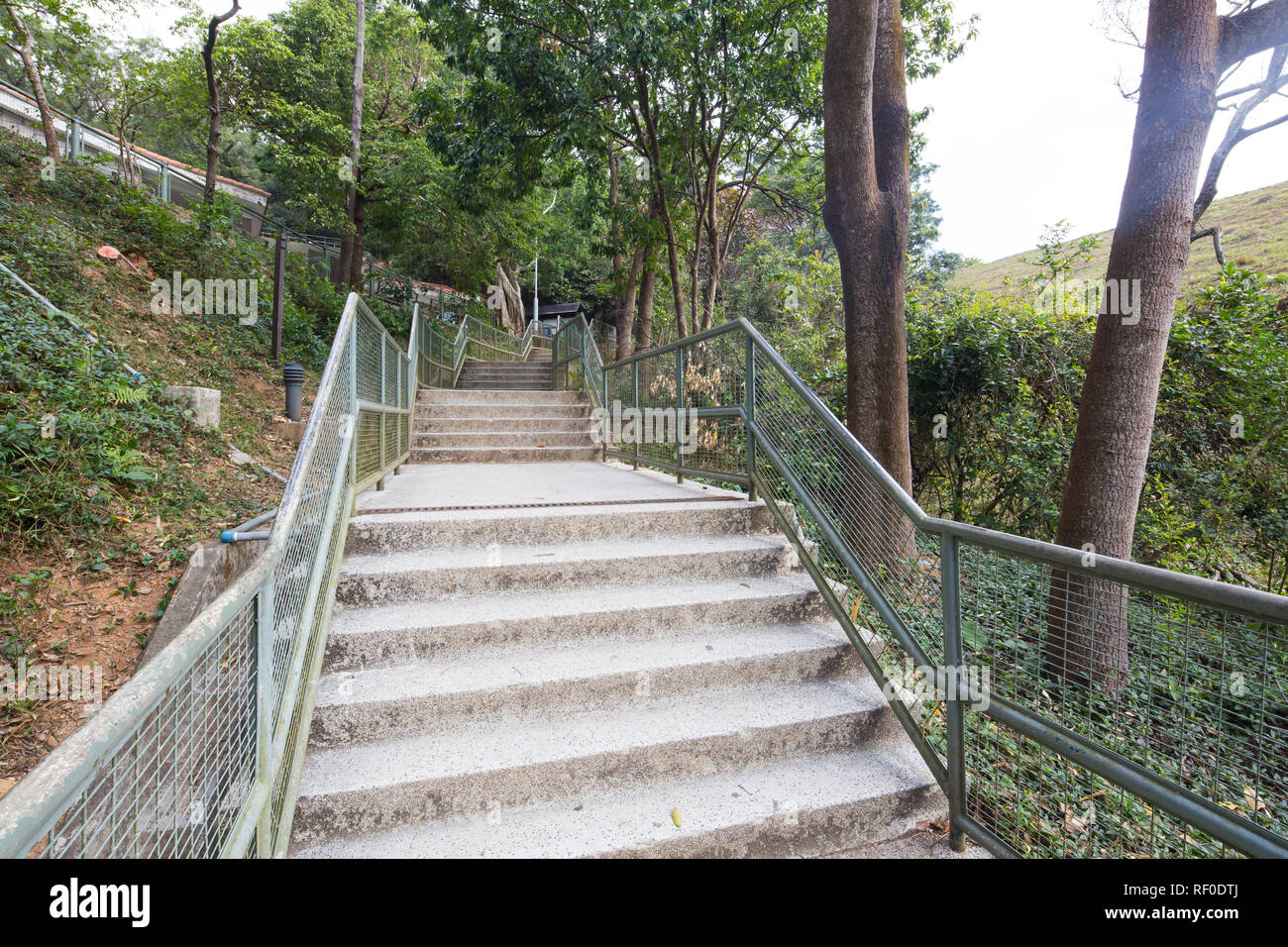 Passi ascendere a Shing Mun Paese centro visita del Parco presso Lo Wai, Hong Kong. Foto Stock