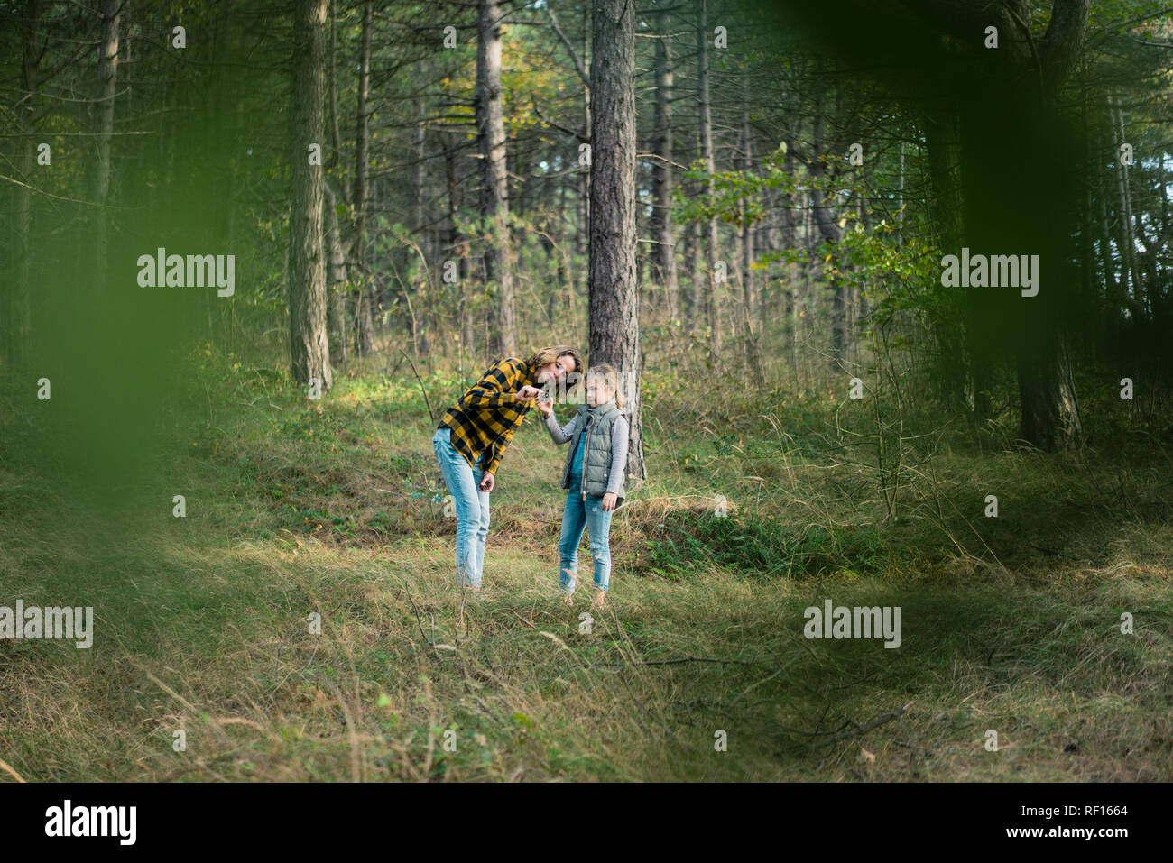 Madre e figlia esplorando la natura nella foresta Foto Stock
