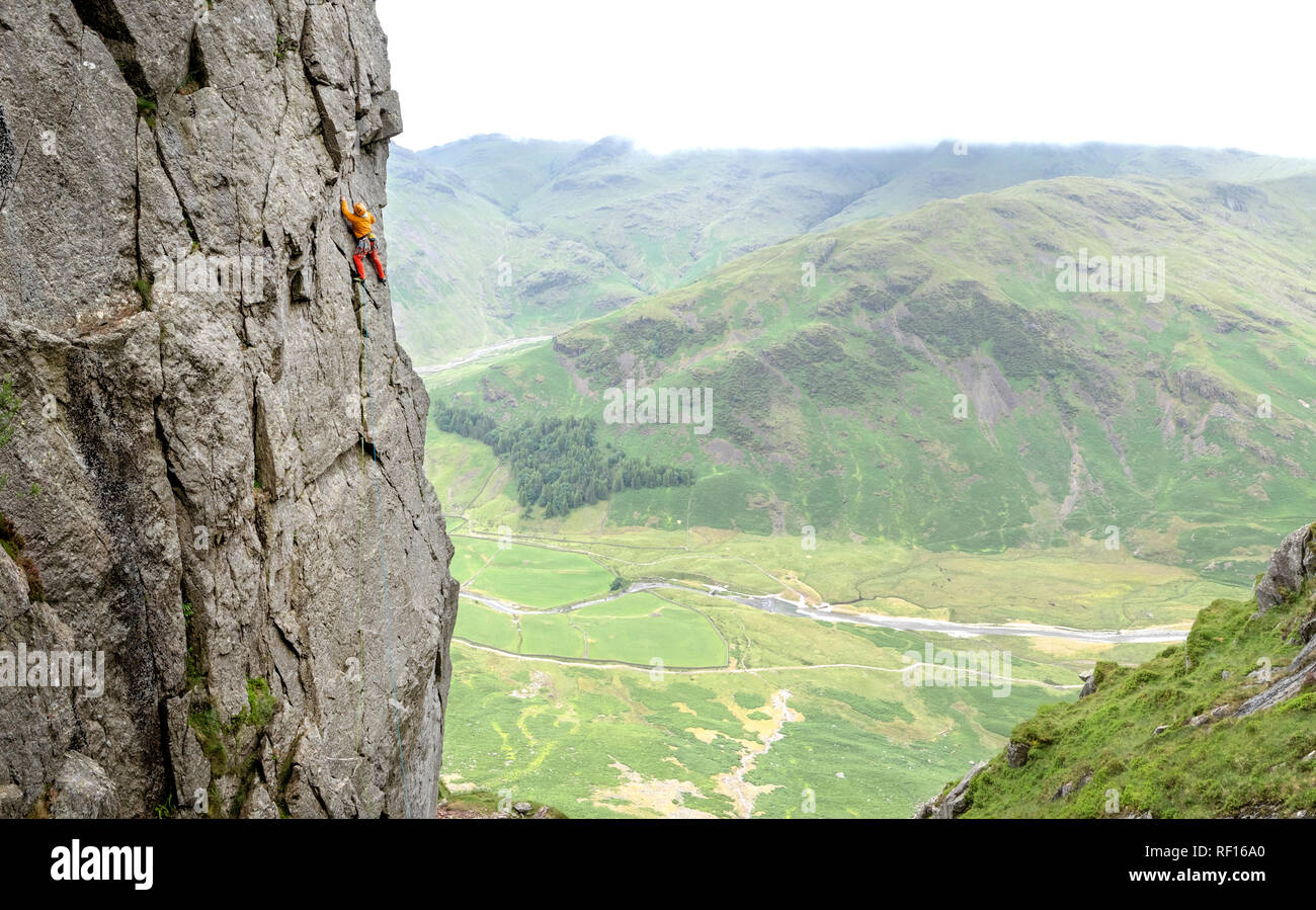Regno Unito, Lake District, Langdale Valley, Gimmer roccioso, scalatore sulla roccia Foto Stock