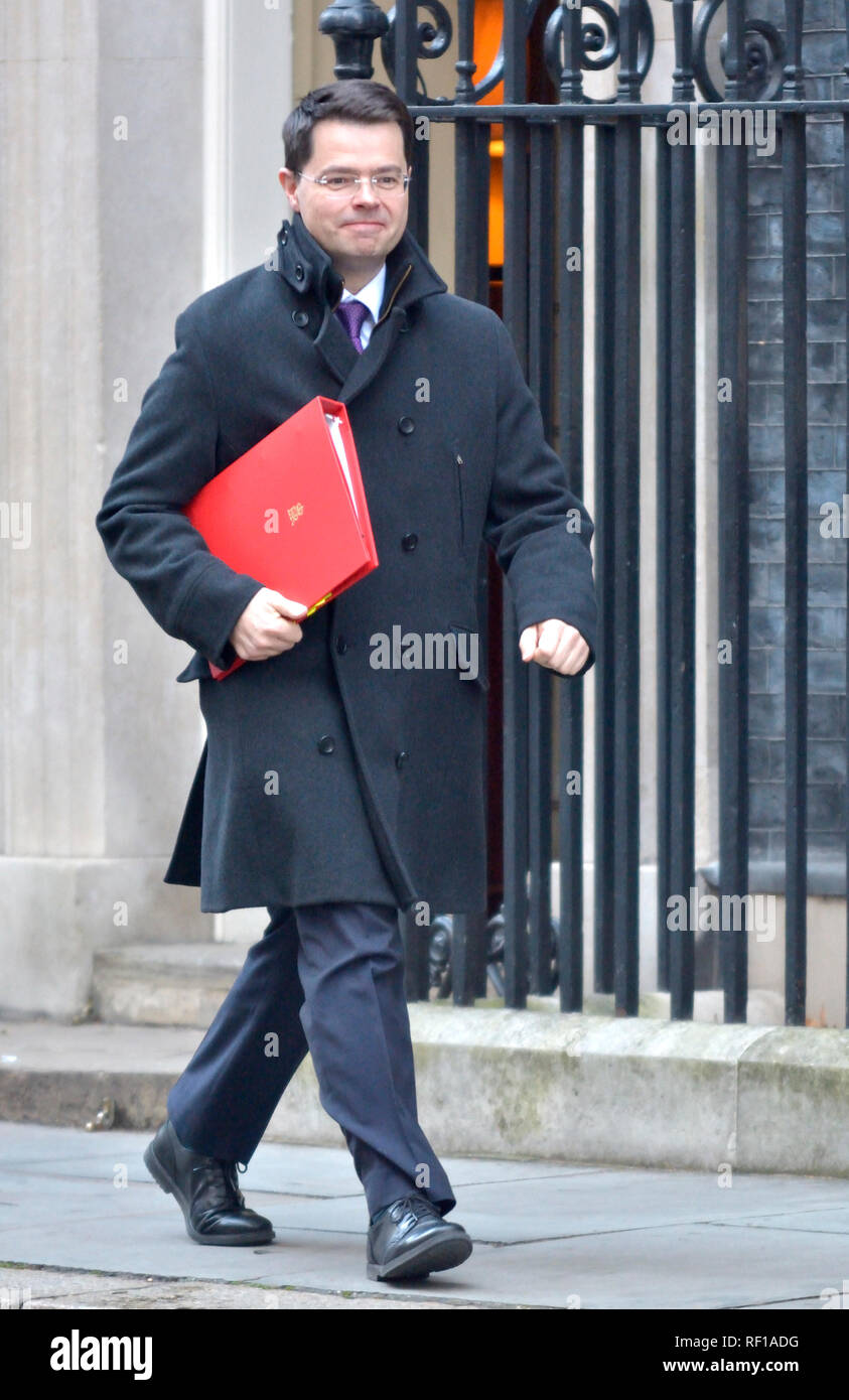 James Brokenshire MP, Segretario di Stato per l'alloggiamento, comunità e governo locale, lasciando a Downing Street dopo una riunione del gabinetto 22.01.2019 Foto Stock