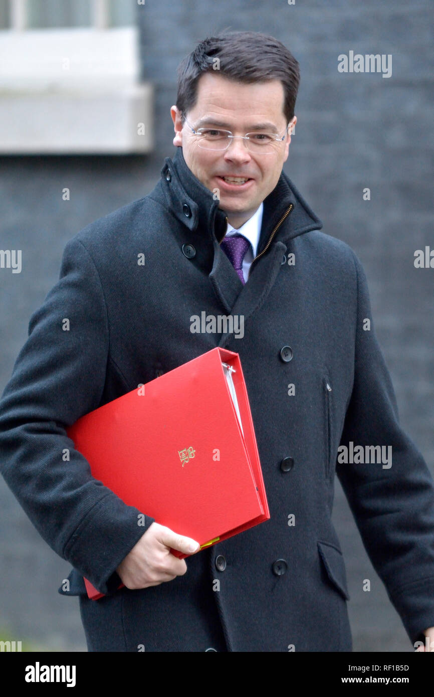 James Brokenshire MP, Segretario di Stato per l'alloggiamento, comunità e governo locale, lasciando a Downing Street dopo una riunione del gabinetto 22.01.2019 Foto Stock