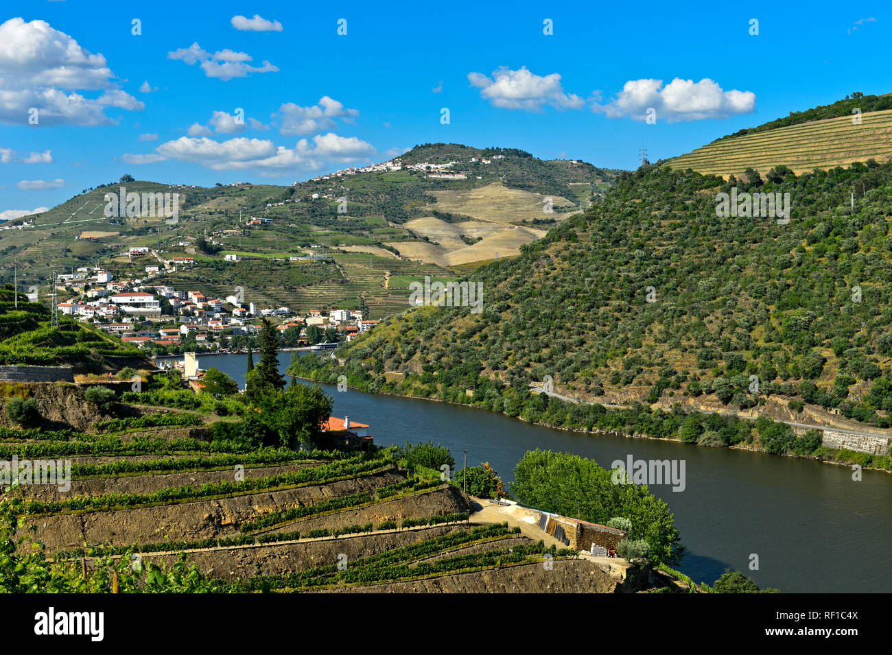 Nella Valle del Douro vicino a Pinhao,Portogallo Foto Stock