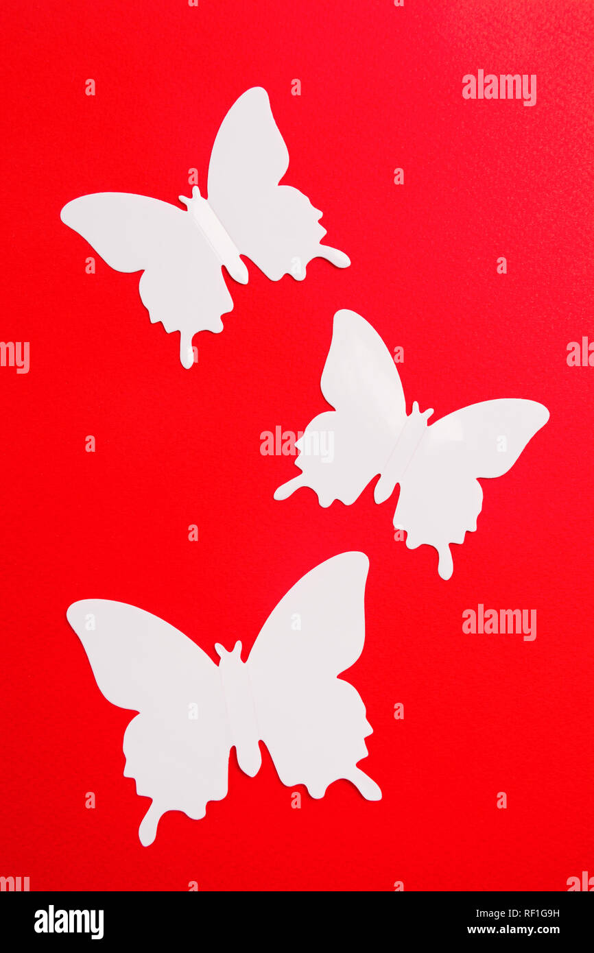Estate sfondo con farfalla in plastica su carta rossa sfondo, piatto stile di laici, colpo verticale Foto Stock
