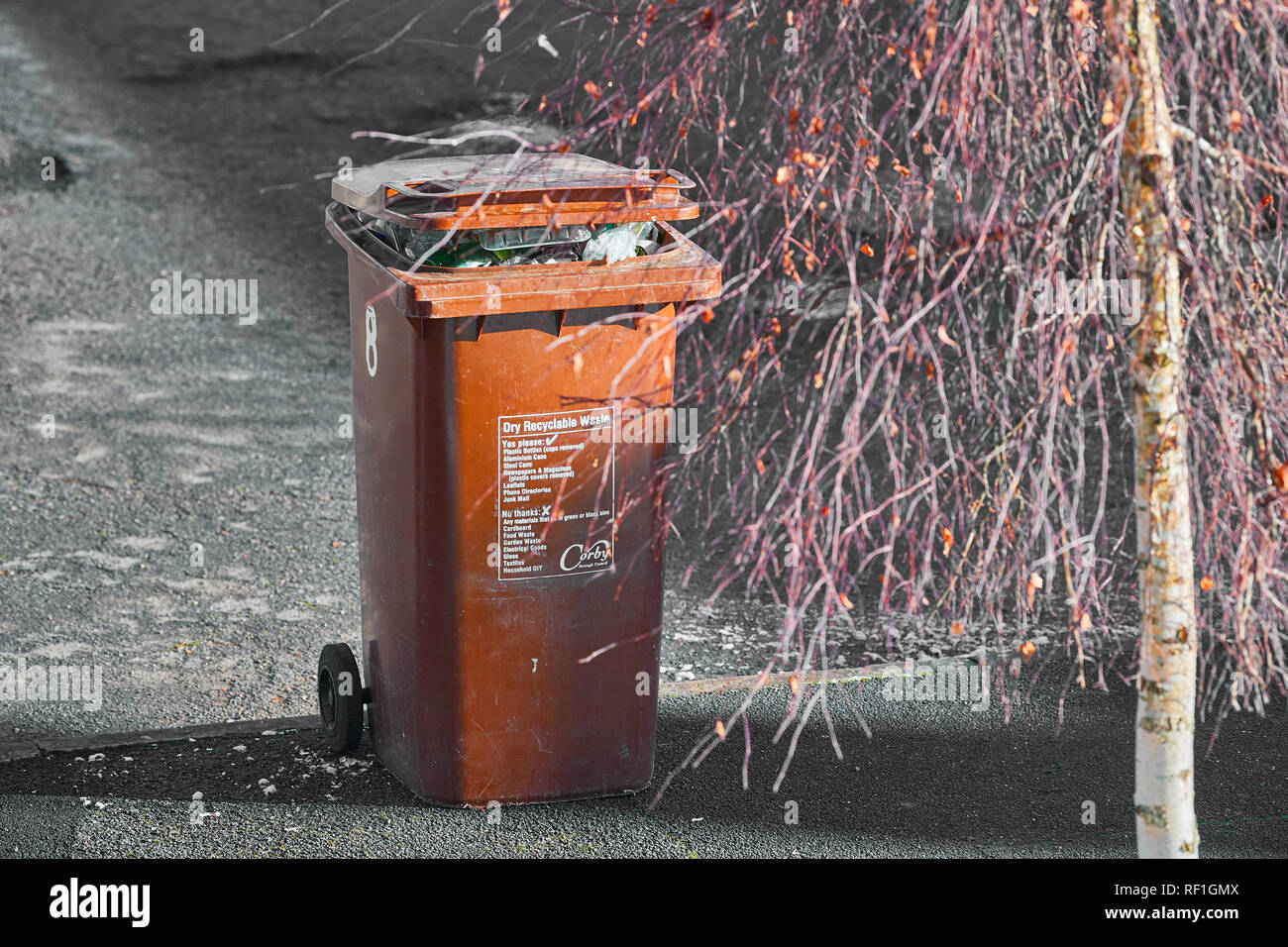 Un colore marrone riciclabile secco pieno bidone dei rifiuti su un cordolo stradale attende di essere svuotato in una soleggiata giornata invernale. Foto Stock