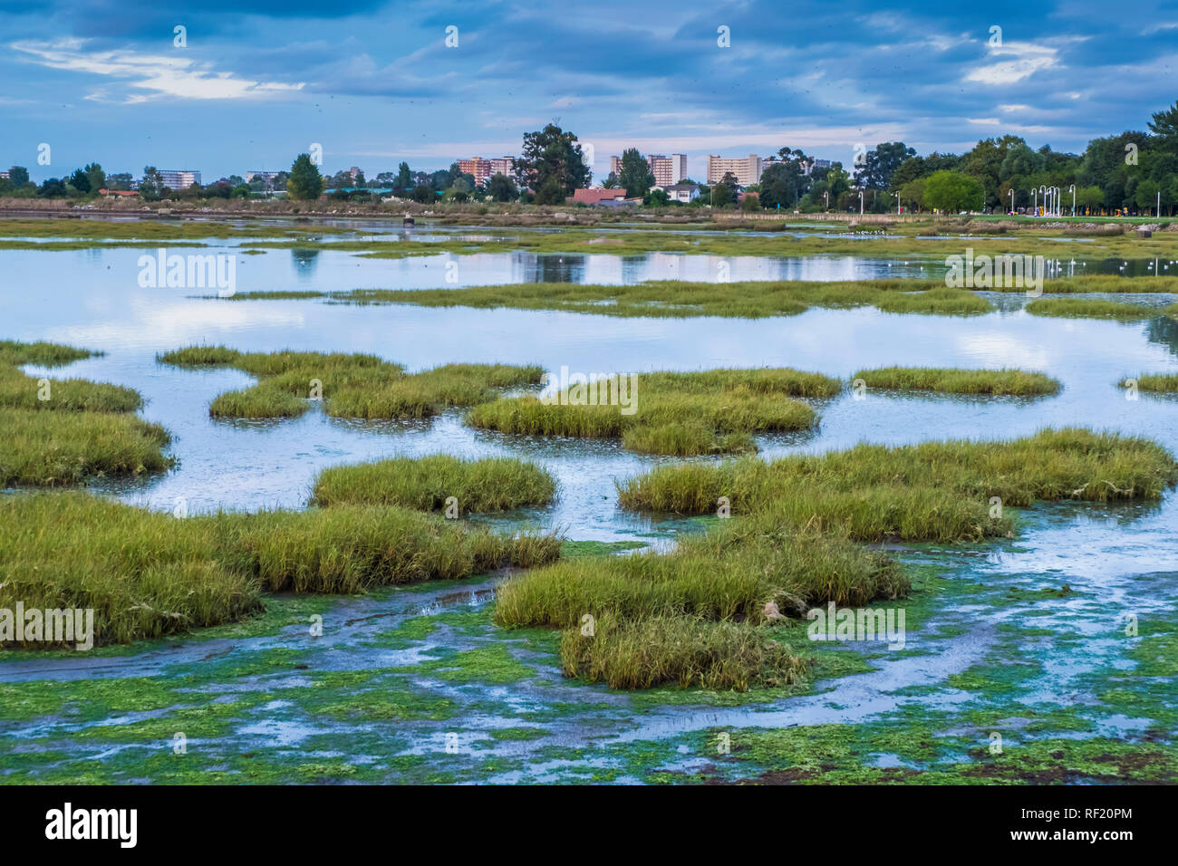 Le saline di paesaggio. Foto Stock