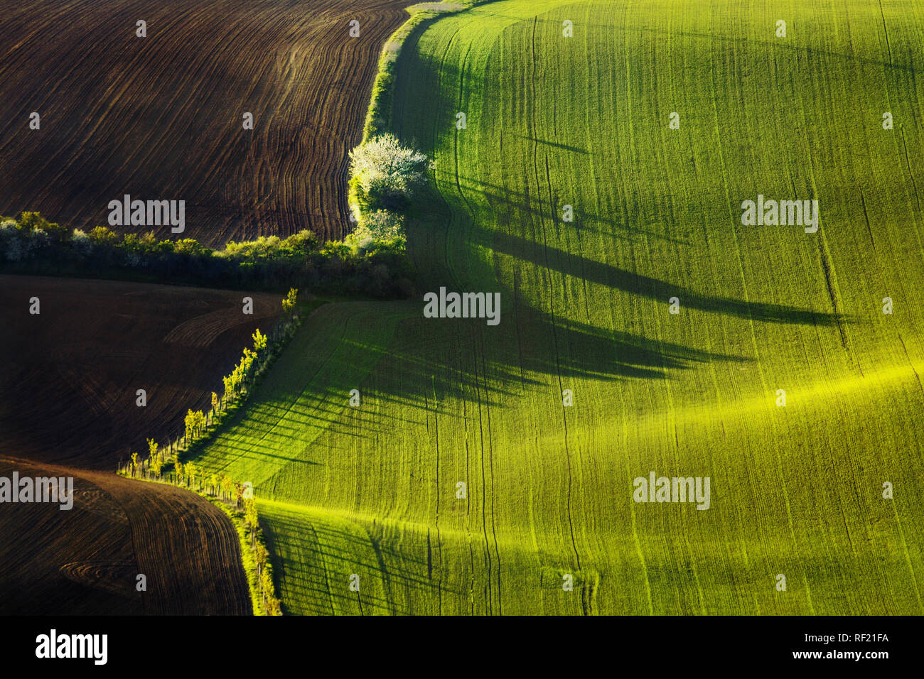 Sunset linee e forme d'onda in primavera Foto Stock