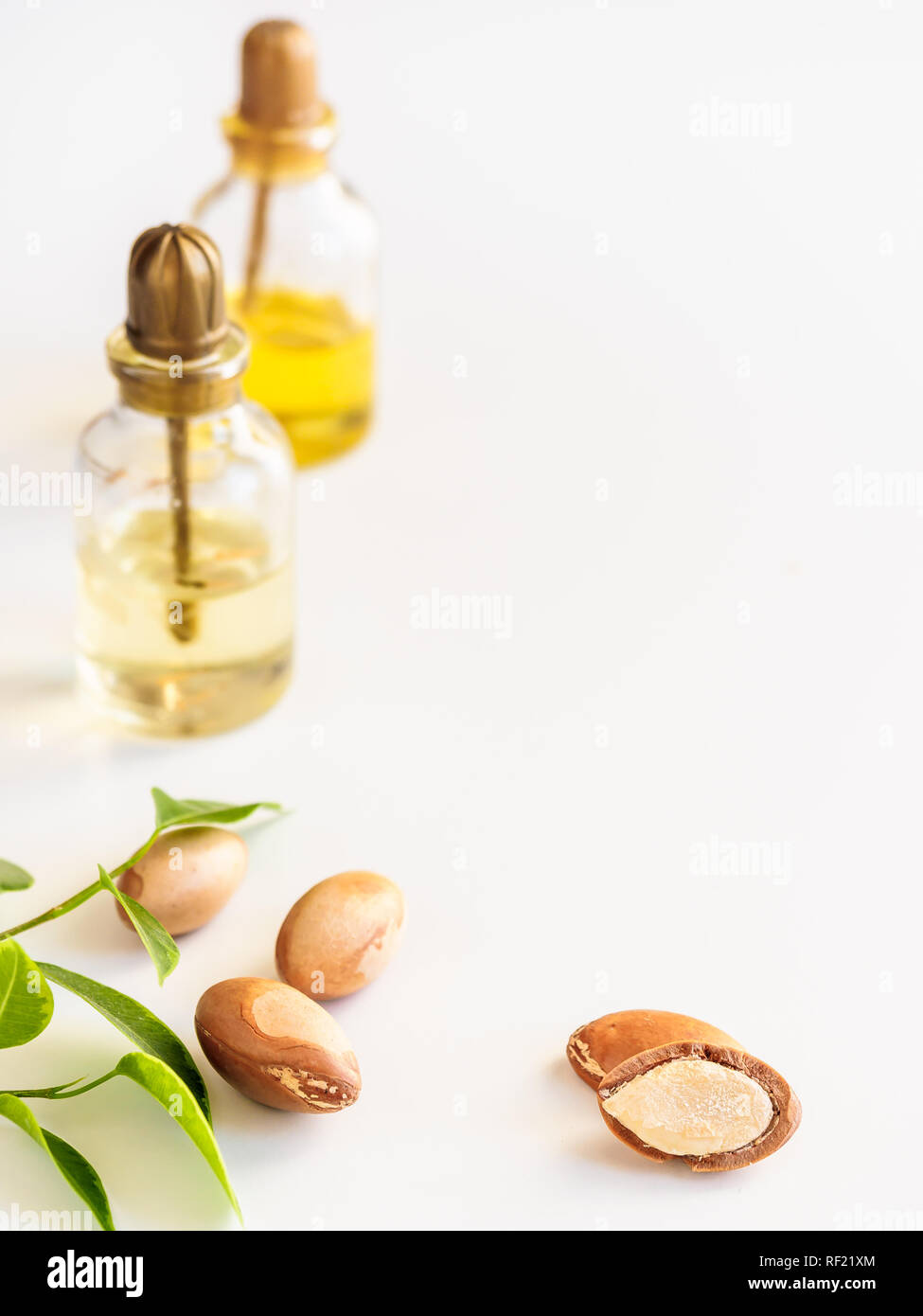 Bottiglie con olio di argan dadi. Mezzi di cosmetici. Prodotto alimentare. Vaso con olio di argan sullo sfondo isolato. Foto Stock