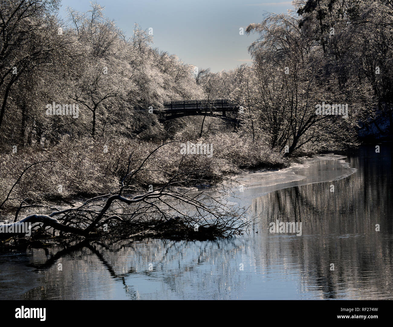 Coperte di ghiaccio alberi sulle rive del fiume del mulino. New Haven, CT. Gennaio 22, 2018 Foto Stock