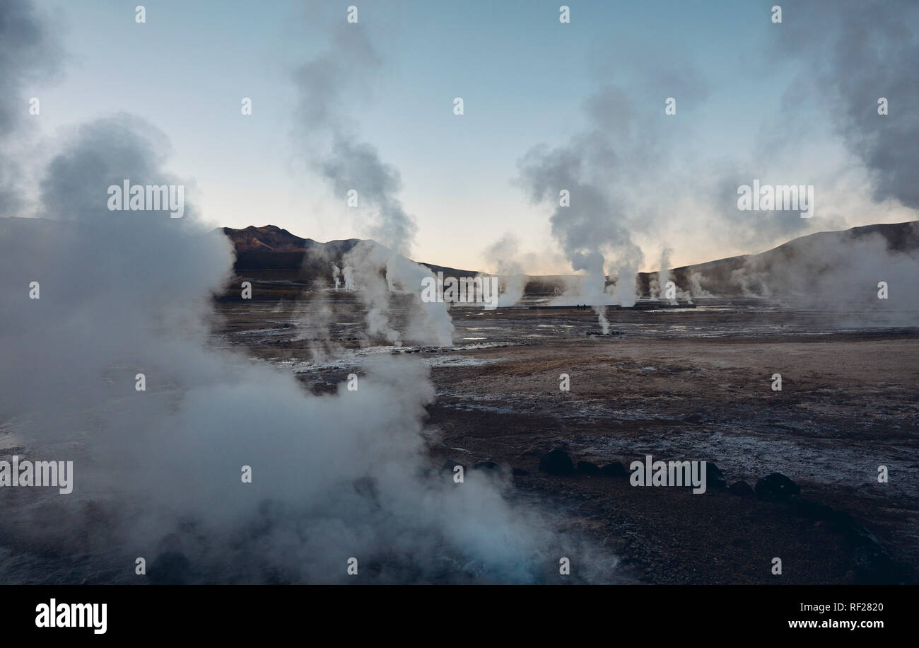 Il Cile, El Tatio, San Pedro de Atacama, geyser campo all'alba Foto Stock