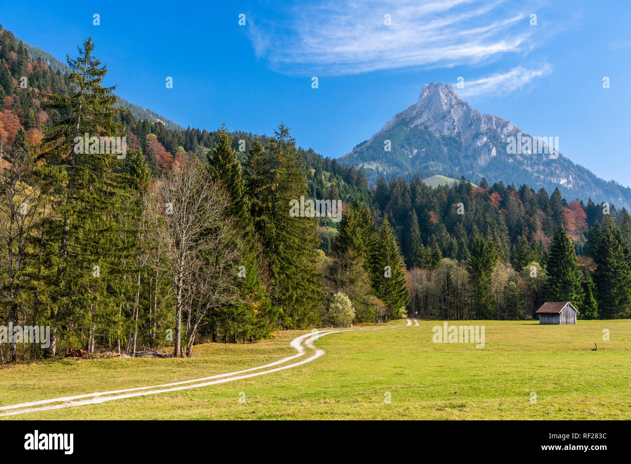 In Germania, in Baviera, Est Allgaeu, Pfronten, Allgaeu Alpi, Aggenstein in autunno Foto Stock