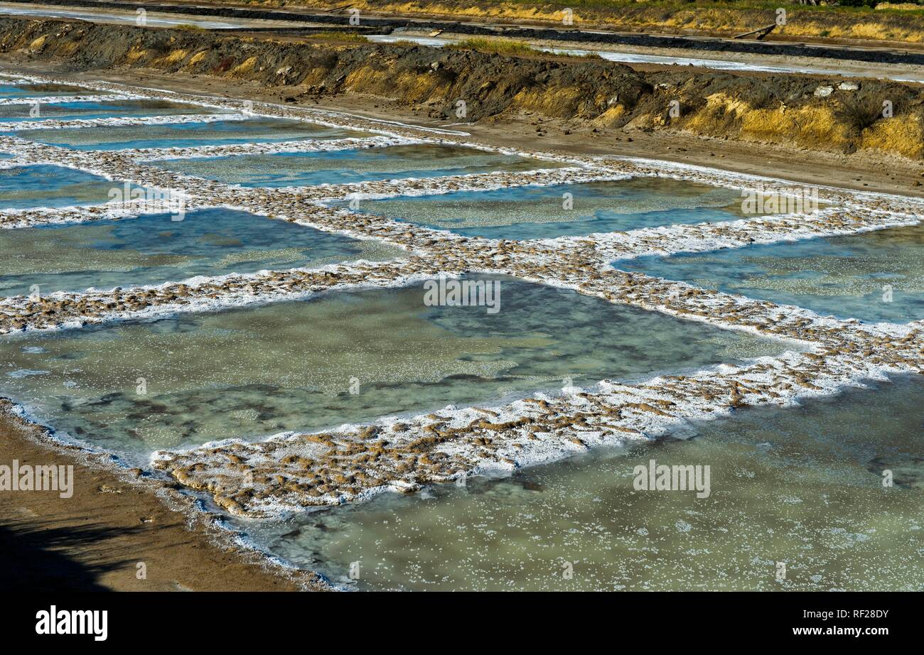 Mare di estrazione del sale, bacino di evaporazione di acqua di mare Salina cristallizzato con sale marino, Tavira, Algarve, PORTOGALLO Foto Stock