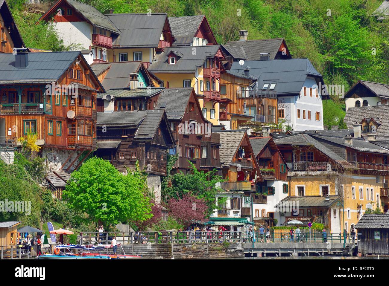 Vista di Hallstatt su Hallstatt, tipiche case in legno, Salzkammergut, regione Dachstein, Austria superiore, Austria Foto Stock