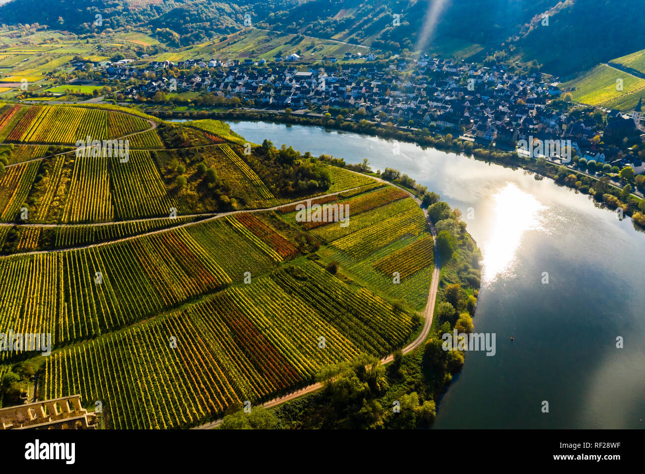 In Germania, in Renania Palatinato, Cochem-Zell, Bremm, Moselle Loop e Mosella Foto Stock