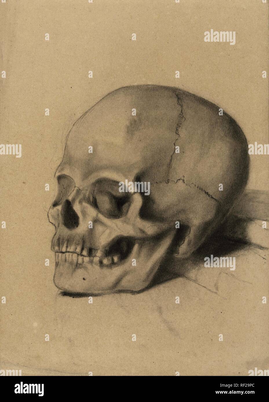 Testa di morte. Relatore per parere: George Hendrik Breitner. Dating: 1867 - 1923. Misurazioni: h 336 mm × W 242 mm. Museo: Rijksmuseum Amsterdam. Foto Stock