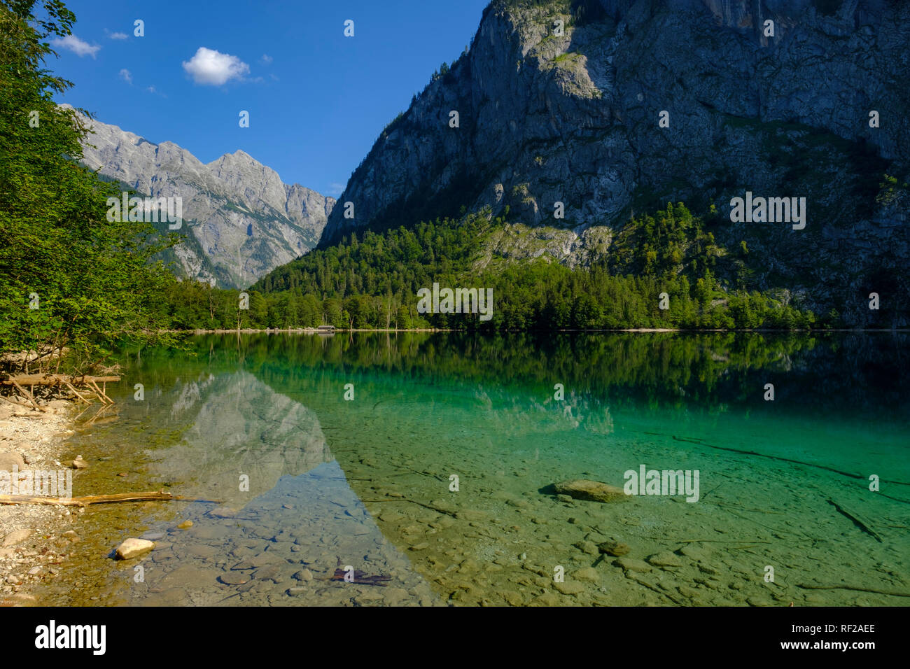 In Germania, in Baviera, Baviera, sulle Alpi di Berchtesgaden, Parco Nazionale di Berchtesgaden, Salet, lago Obersee Foto Stock