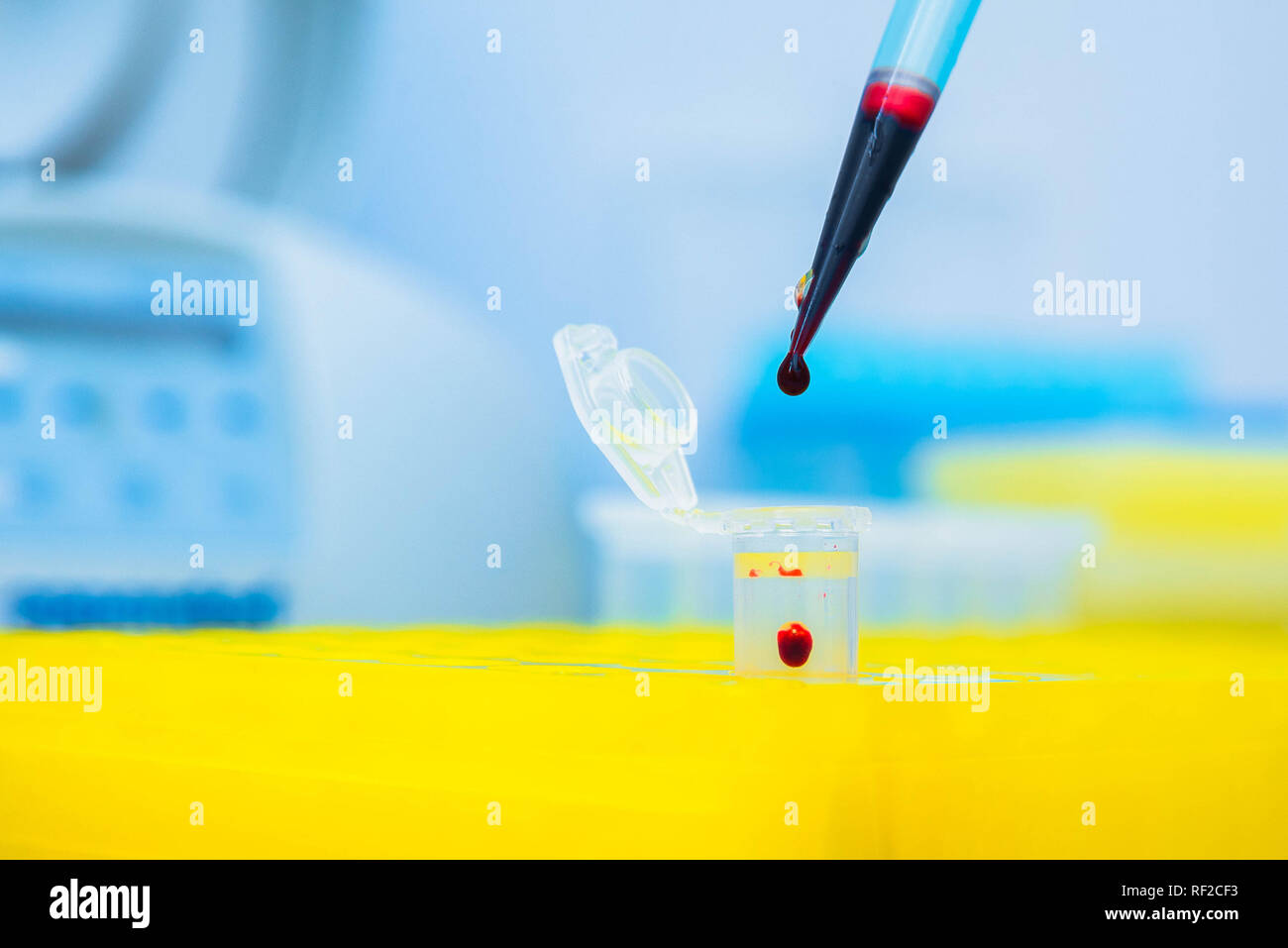 Test del DNA in laboratorio. Erogatore con sangue e provette di close-up. Una goccia di sangue. Foto Stock