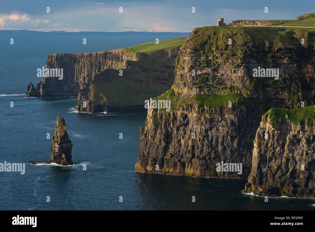 Scogliere di Moher, scogliere, Clare, Irlanda Foto Stock