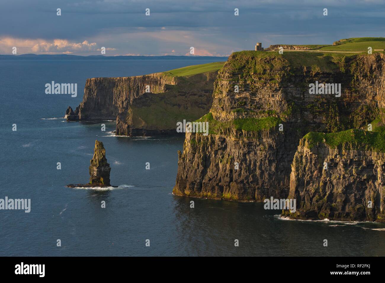 Scogliere di Moher, scogliere, Clare, Irlanda Foto Stock