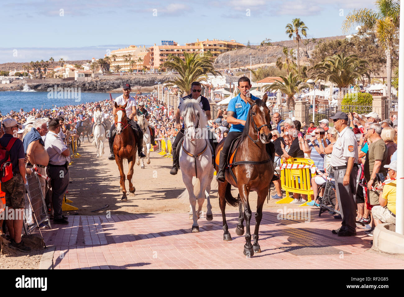 Cavalli e Cavalieri lasciando La Enramada beach dopo la balneazione i loro animali in mare a San Sebastian romeria, fieasta, La Caleta, Tenerife, può Foto Stock