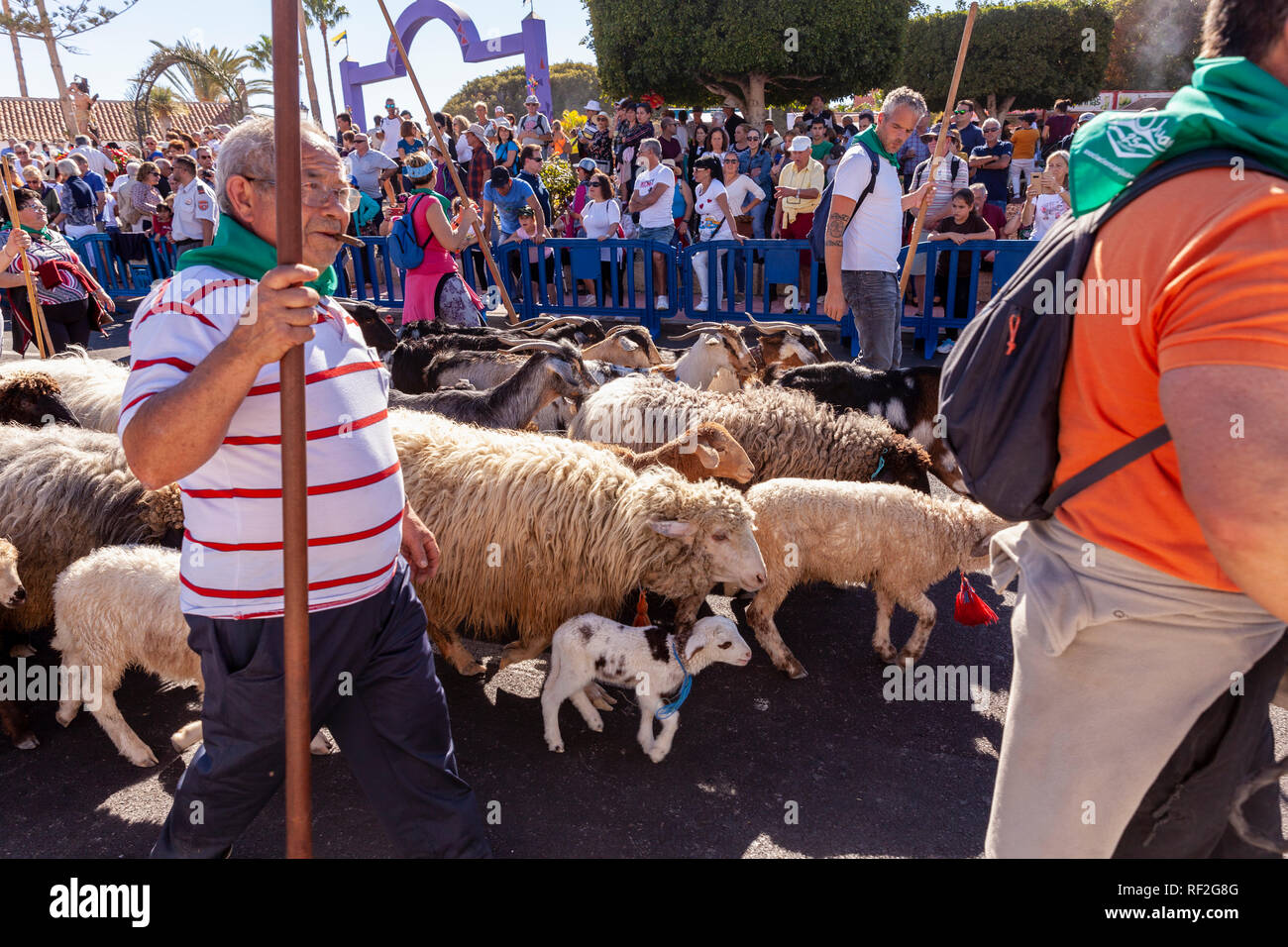 Benedizione degli animali a San Sebastian romeria, fiesta, La Caleta, Tenerife, Isole Canarie, Spagna, Foto Stock
