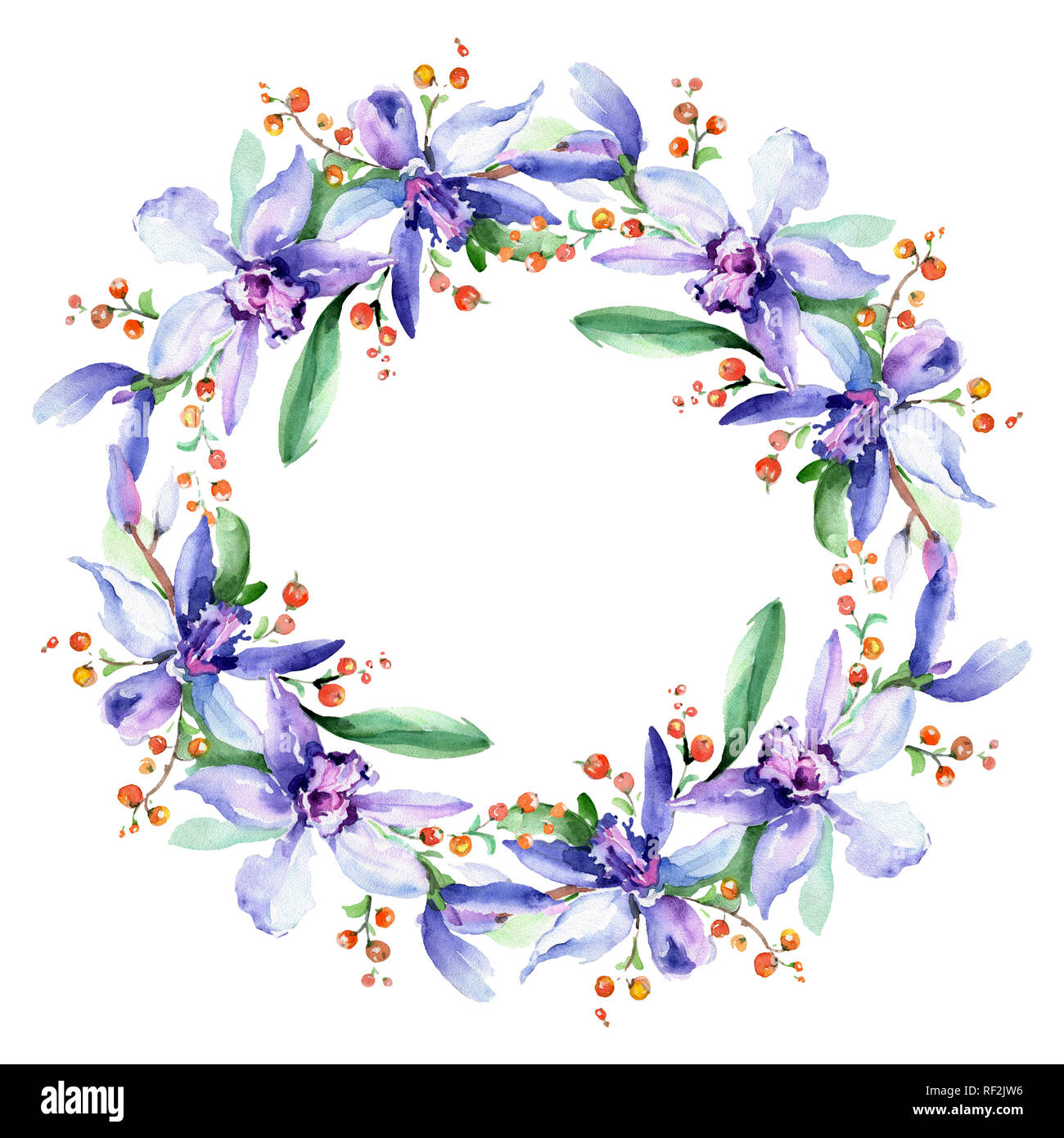 Rosa e viola di fiori di orchidea. Wild molla a balestra di fiori selvaggi isolati. Acquerello illustrazione dello sfondo impostato. Disegno ad acquerello fashion aquarelle iso Foto Stock