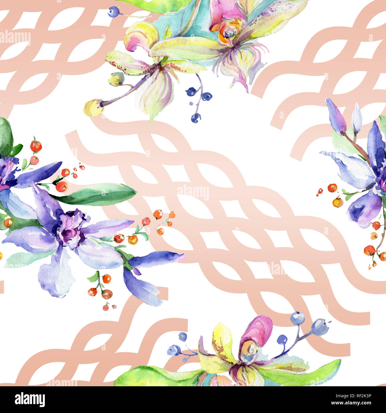 Rosa e viola di fiori di orchidea. Wild molla a balestra di fiori selvaggi. Illustrazione ad acquerello set. Disegno ad acquerello fashion aquarelle isolato. Indietro senza giunture Foto Stock