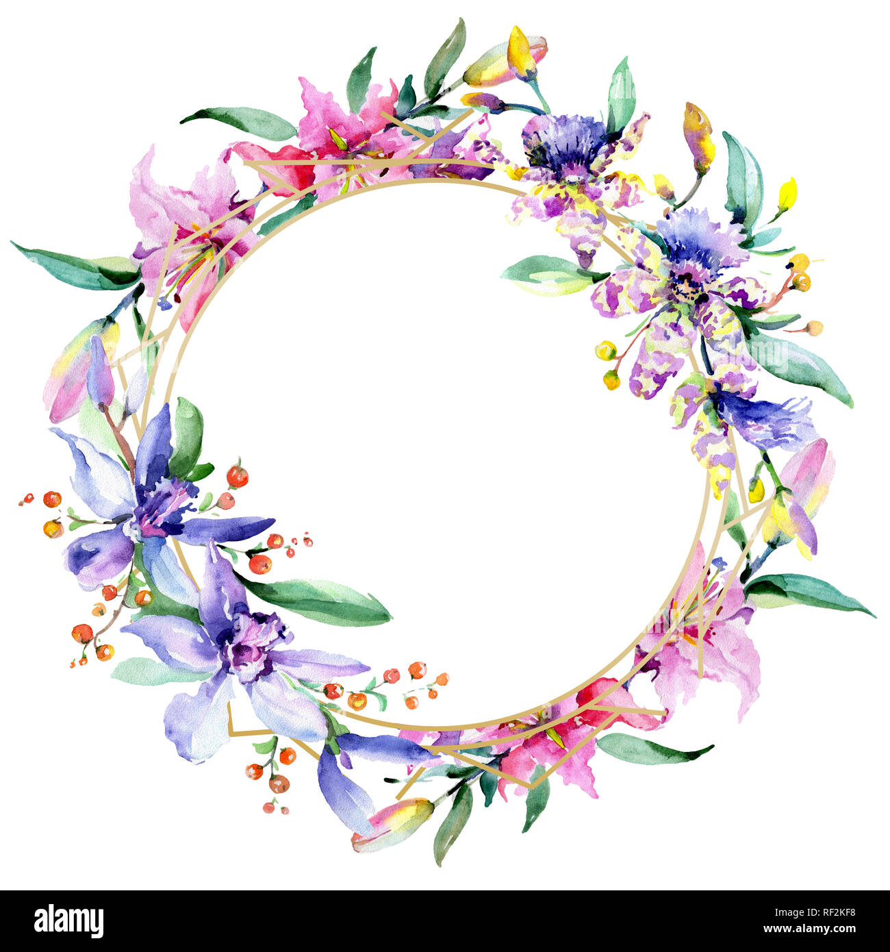 Rosa e viola di fiori di orchidea. Wild molla a balestra di fiori selvaggi isolati. Acquerello illustrazione dello sfondo impostato. Disegno ad acquerello fashion aquarelle iso Foto Stock