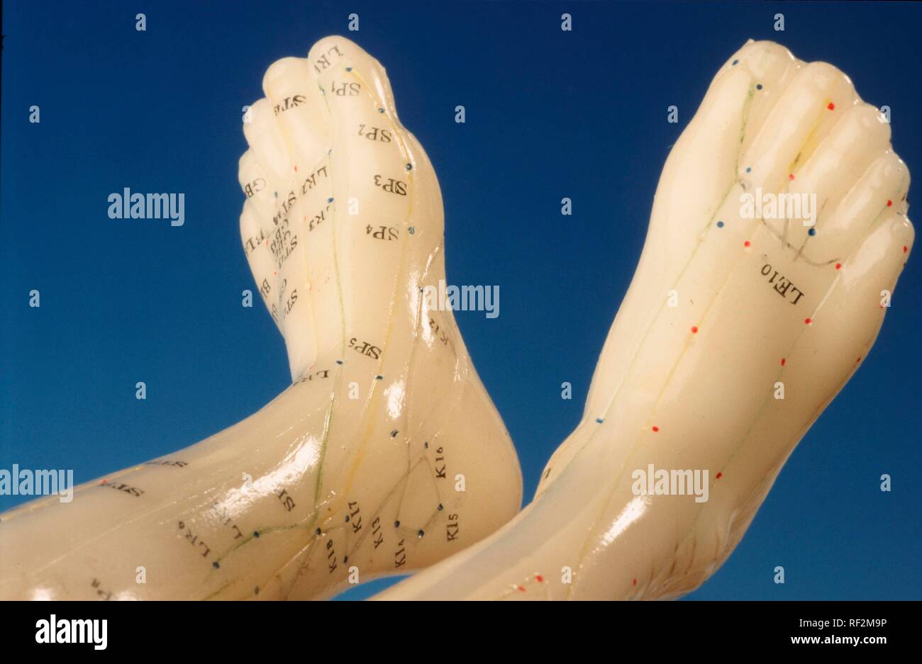 I punti di agopuntura di piedi umani, modello Foto Stock