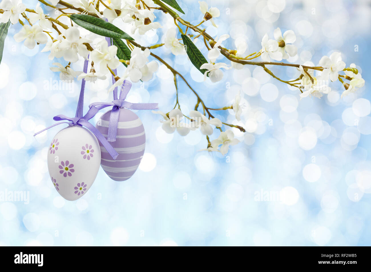 Fiori di Primavera e colorate uova di Pasqua telaio. Foto Stock