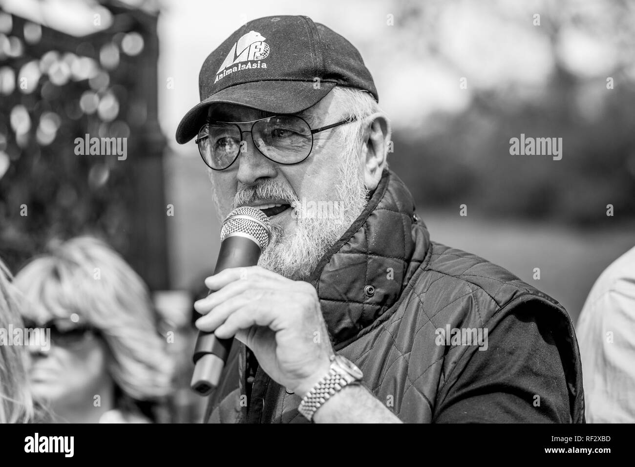 Peter Egan giudicare un cane mostra su Hamstead heath in Londra Foto Stock