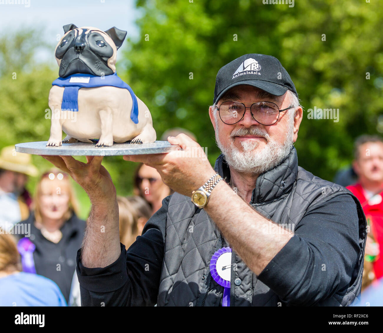 Peter Egan giudicare un cane mostra su Hamstead heath in Londra Foto Stock