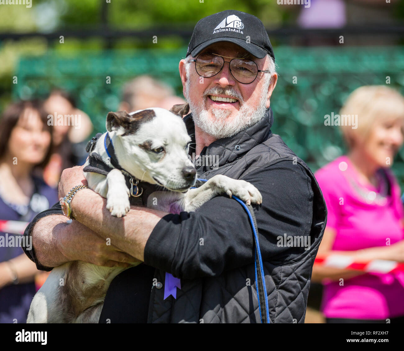 Peter Egan giudicare un cane mostra su Hamstead heath in Londra Foto Stock