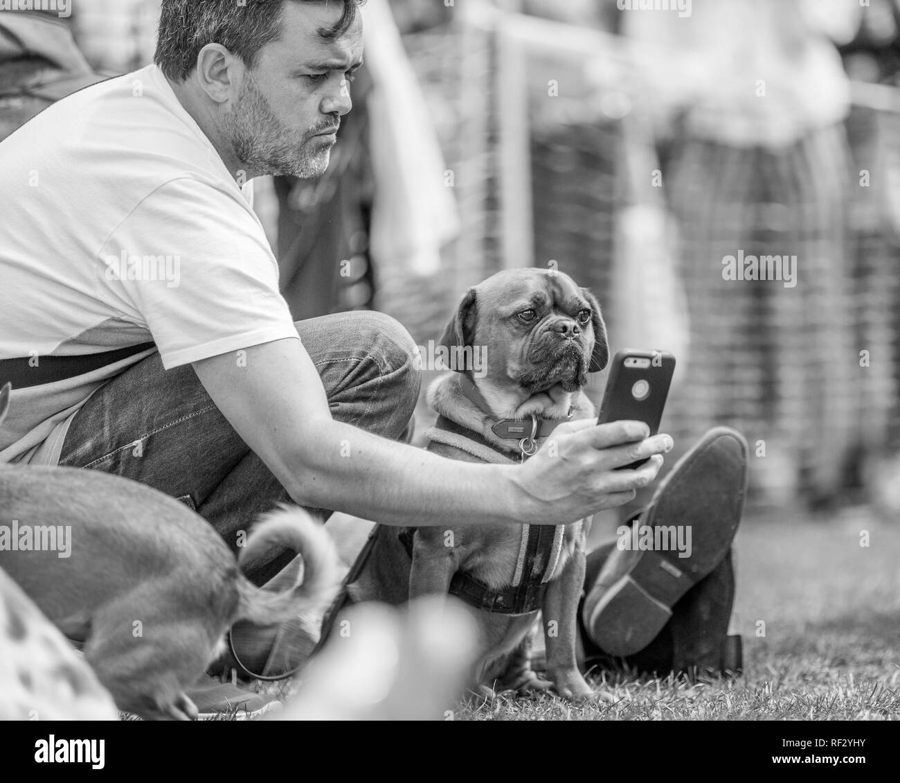 Un uomo prendendo un selfie con un cane nel parco di un dog show. Foto Stock