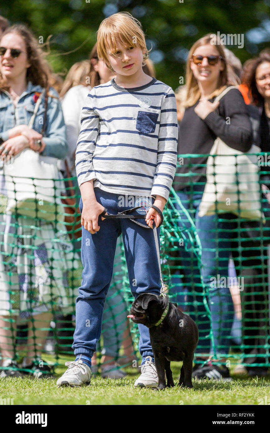 Un giovane ragazzo con un cane nel parco di un dog show. Foto Stock