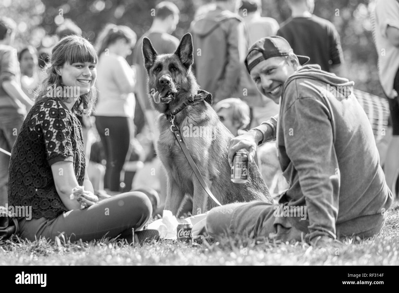 Un giovane seduto con il loro cane nel parco di un dog show Foto Stock