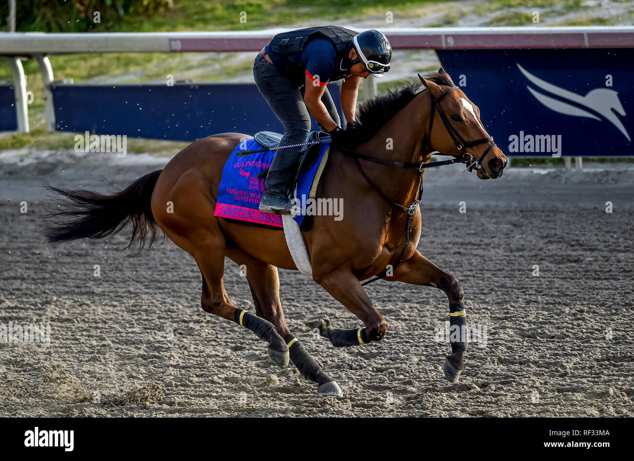 Hallandale Beach, Florida, Stati Uniti d'America. 23 gen 2019. 23 gennaio 2019: qualcosa di meraviglioso si prepara per il Pegasus World Cup Invitational all alba del 23 gennaio, 2019 a Gulfstream Park in Hallandale Beach, Florida. John Voorhees/Eclipse Sportswire/CSM/Alamy Live News Foto Stock