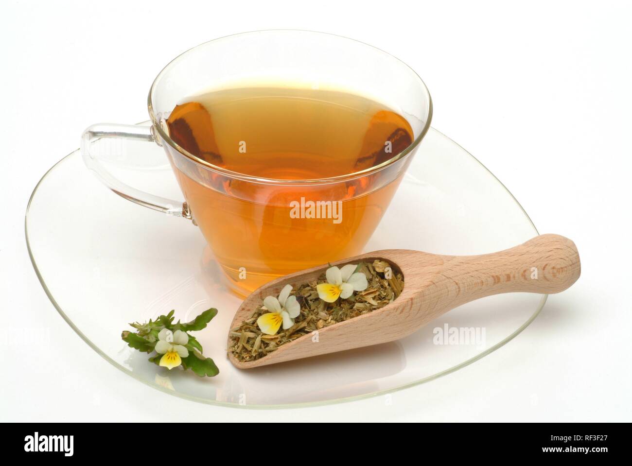 Heartsease, cuore di semplicità o Wild Pansy (Viola tricolore), tè medicinali Foto Stock