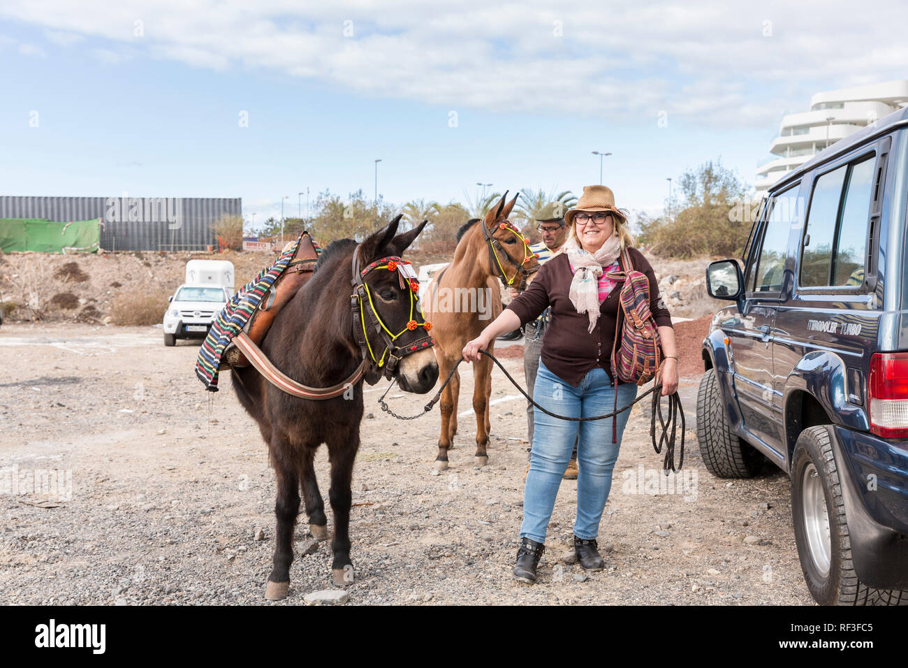 Preparazione e governare gli animali per il San Sebastian romeria, fiesta, in La Caleta, Tenerife, Isole Canarie, Spagna Foto Stock