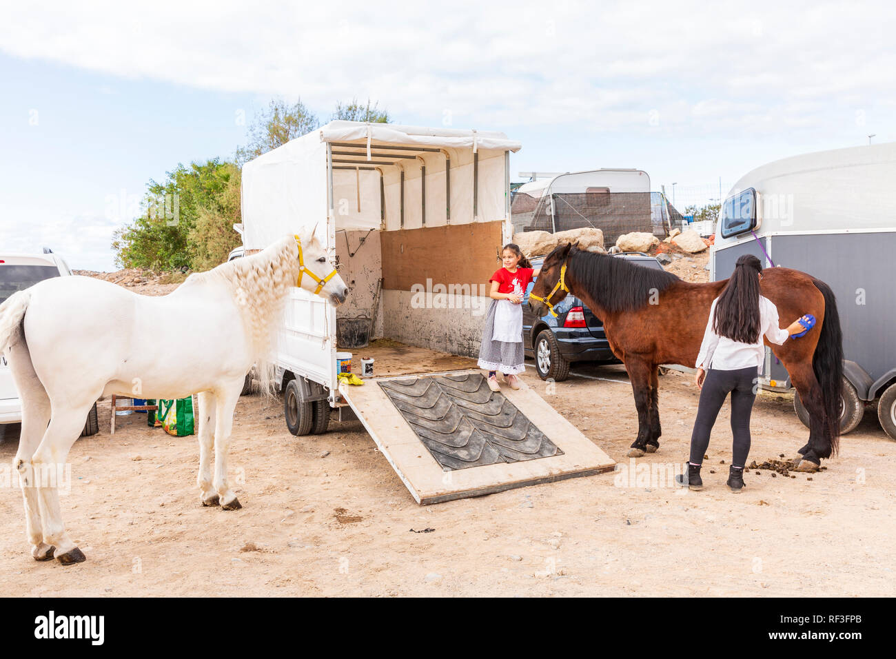 Preparazione e governare gli animali per il San Sebastian romeria, fiesta, in La Caleta, Tenerife, Isole Canarie, Spagna Foto Stock