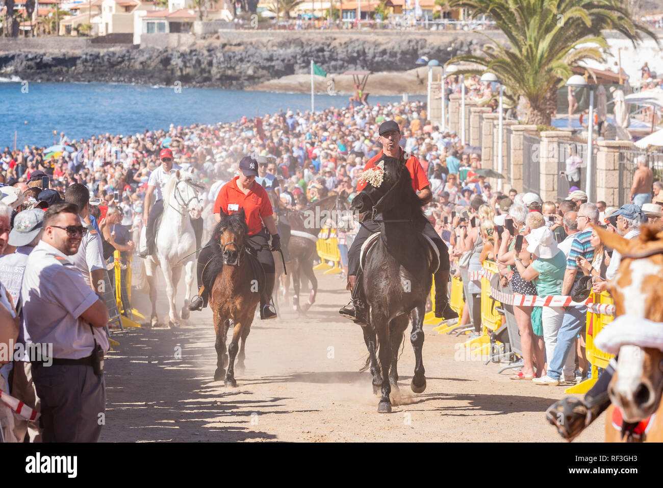 Cavalli e Cavalieri lasciando La Enramada beach dopo la balneazione i loro animali in mare a San Sebastian romeria, fieasta, La Caleta, Tenerife, può Foto Stock