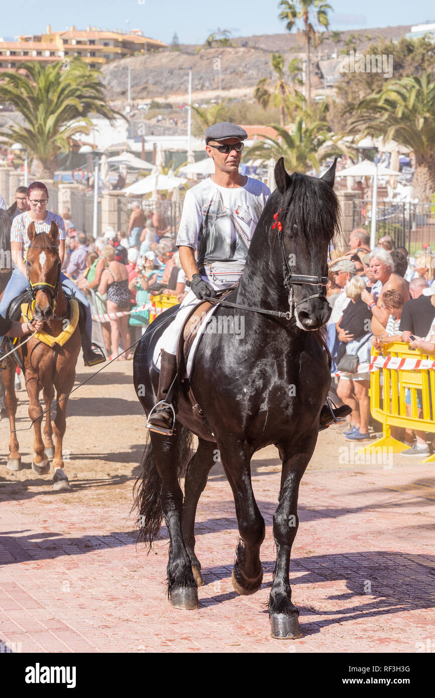 Cavalli e Cavalieri lasciando La Enramada beach dopo la balneazione i loro animali in mare a San Sebastian romeria, fieasta, La Caleta, Tenerife, può Foto Stock