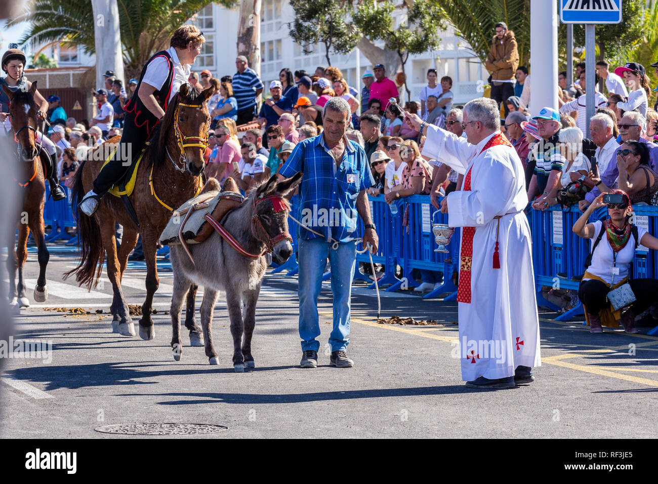 Benedizione degli animali a San Sebastian romeria, fiesta, La Caleta, Tenerife, Isole Canarie, Spagna, Foto Stock