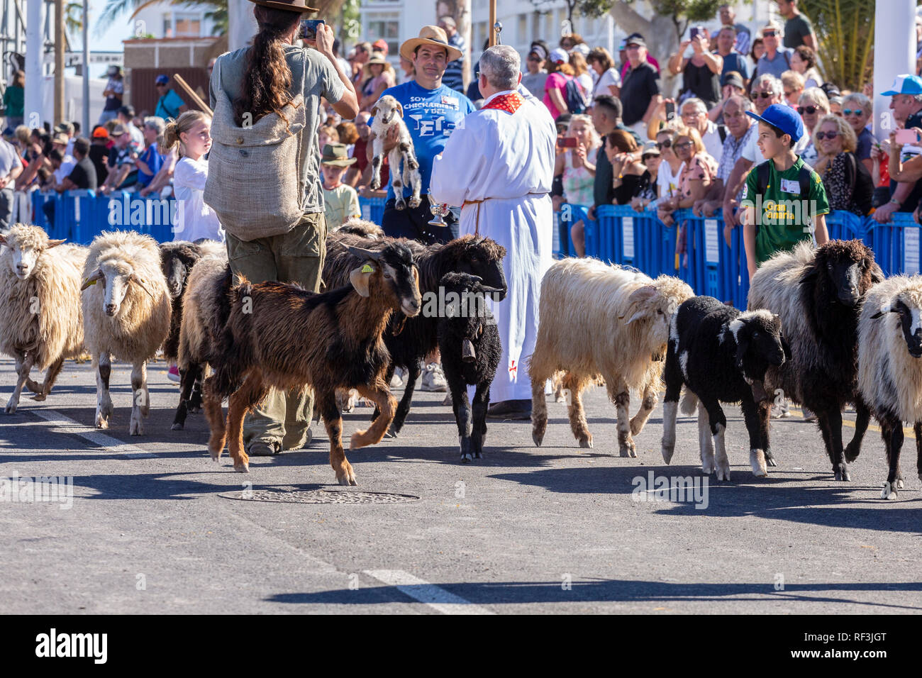 Benedizione degli animali a San Sebastian romeria, fiesta, La Caleta, Tenerife, Isole Canarie, Spagna, Foto Stock